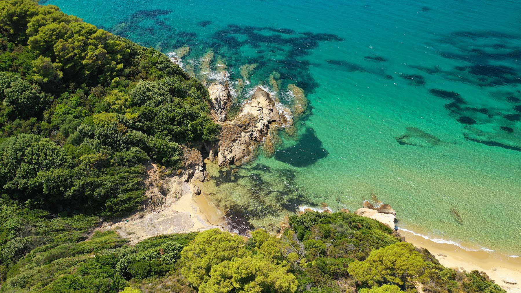 Skiathos | Pine Forests, Golden Beaches, Timeless Charm