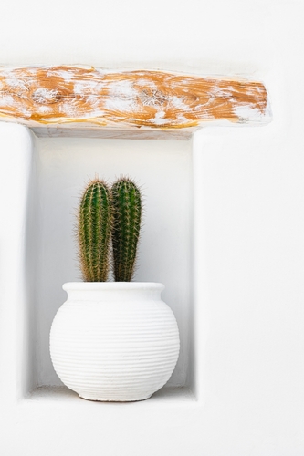 Cactus,In,White,Pot,On,The,White,Wall.,Decor,Of
