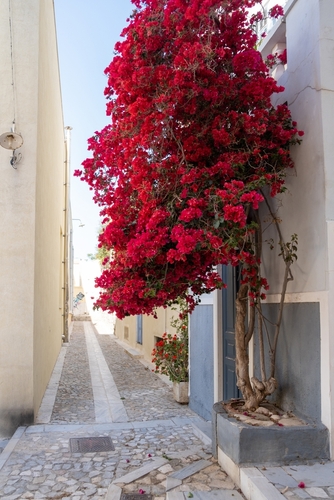 Greece.,Syros,Island,,Ermoupolis.,Narrow,Street,,Stone,Paved,Alley,,Red