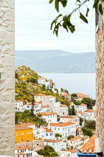 Hydra