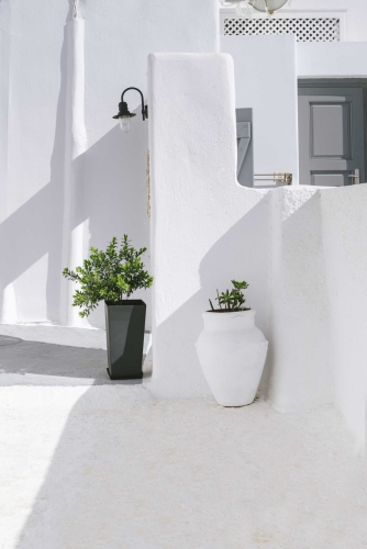 whitewashed